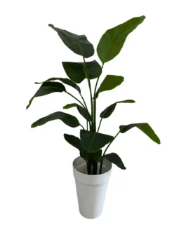Strelitzia 180cm (Real Touch)